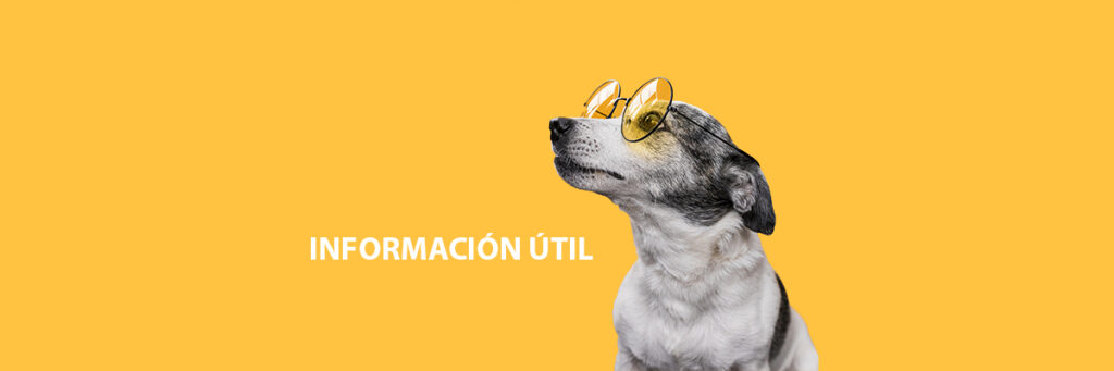 informacion util cachorros